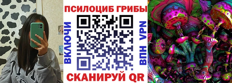 Купить где Остров Галлюциногенные грибы Cubensis